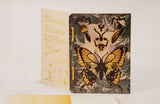 Tarjeta Felicitación Montable Mariposa