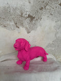 Teckel Fucsia