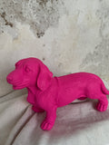 Teckel Fucsia