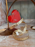 Brazalete Acero