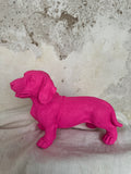 Teckel Fucsia