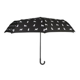 Paraguas Gato negro